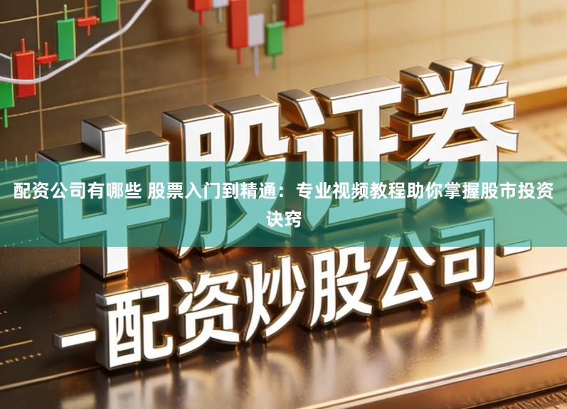 配资公司有哪些 股票入门到精通：专业视频教程助你掌握股市投资诀窍