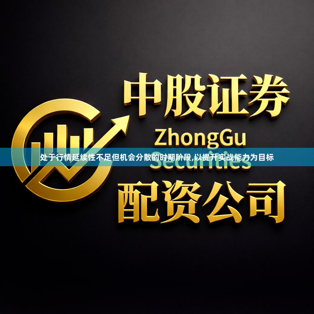 处于行情延续性不足但机会分散的时期阶段,以提升实战能力为目标